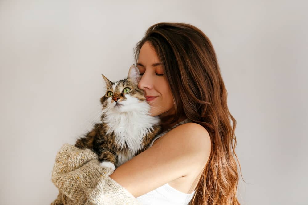 Can Cats Be Used As Emotional Support Animals