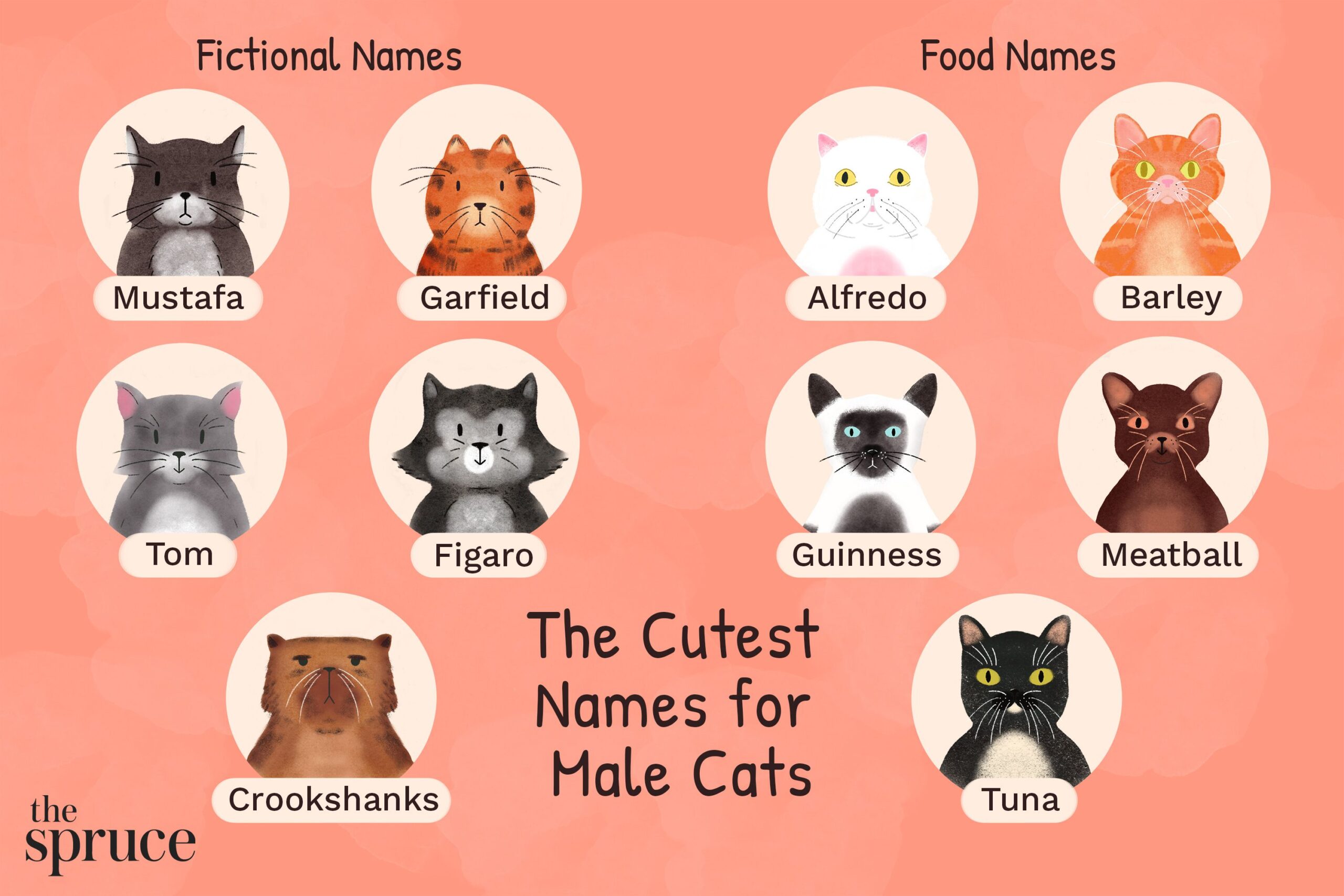 Best Cat Names