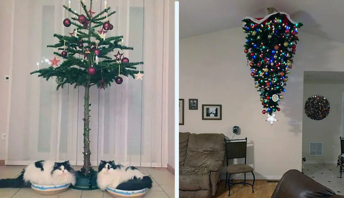 How Do You Cat Proof a Christmas Tree