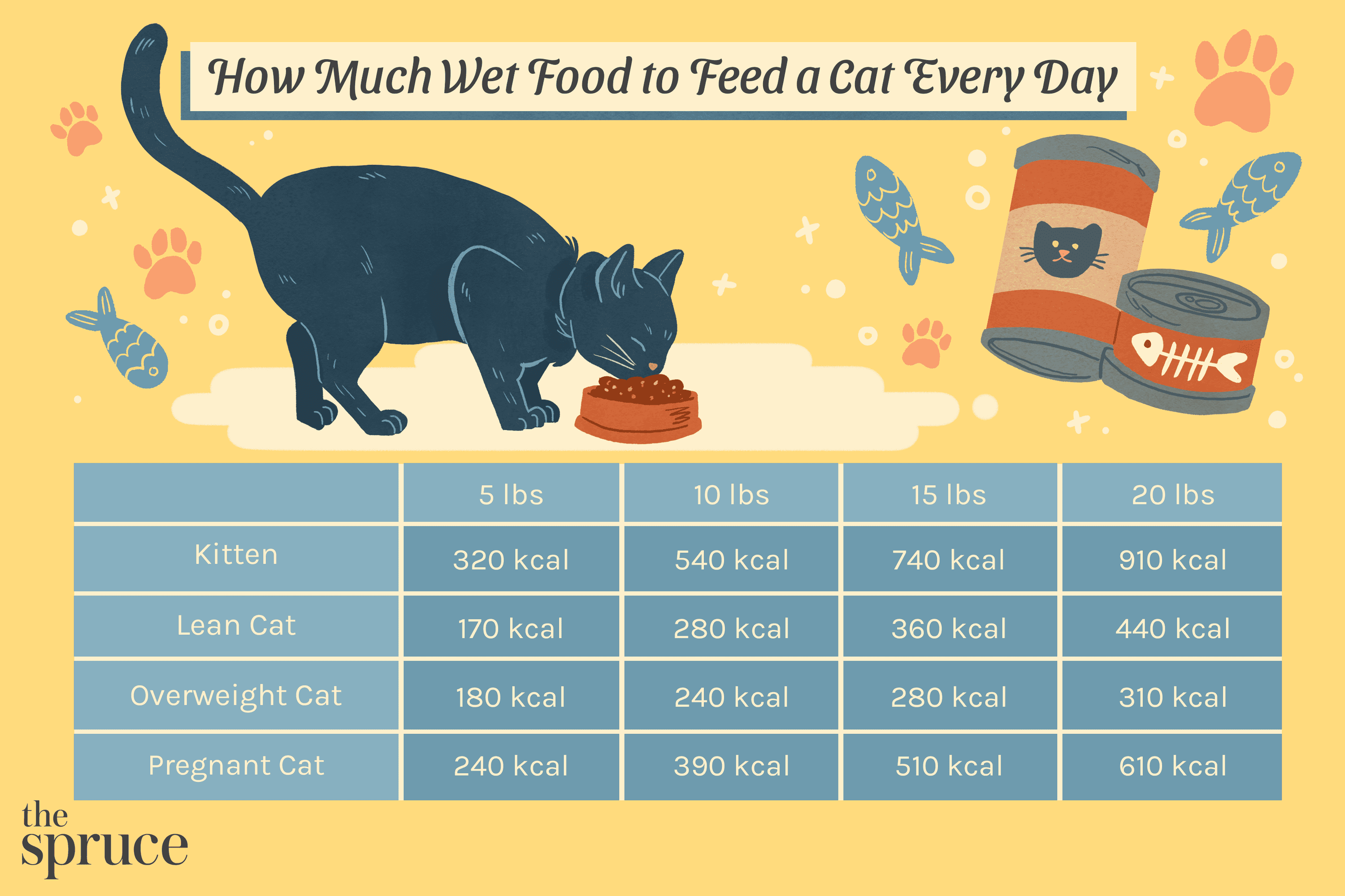 How Much Cat Food Should a Kitten Eat