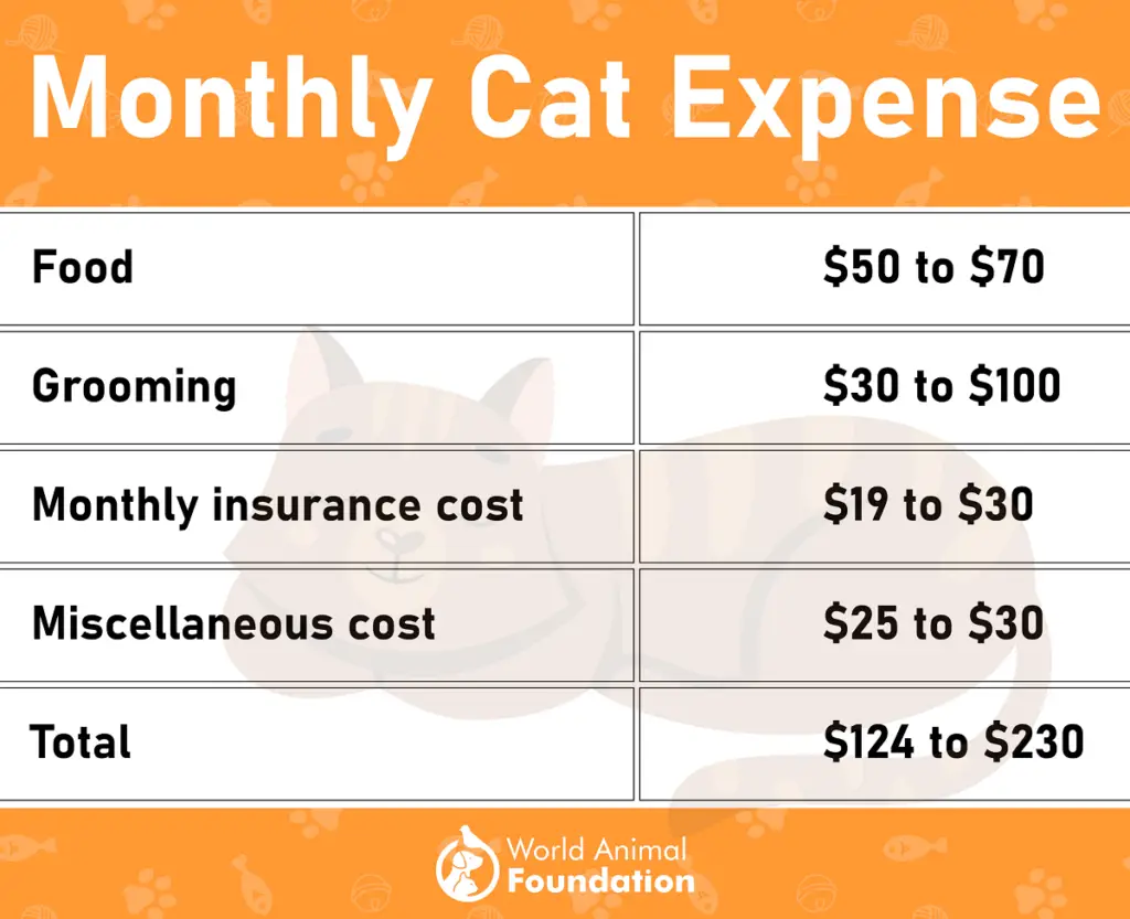 How Much Does Cat Cost Per Month