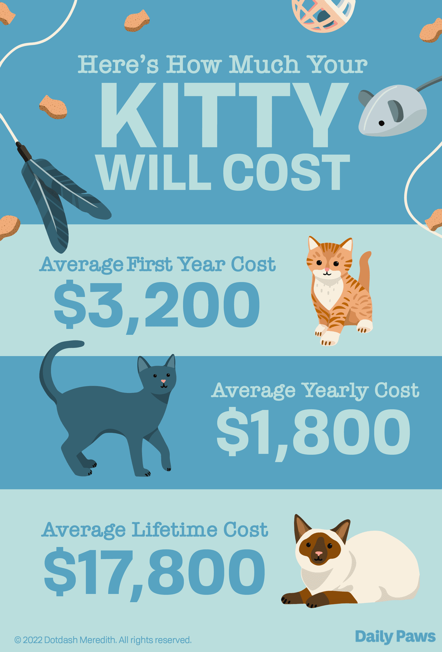 How Much Does Cat Cost Per Year