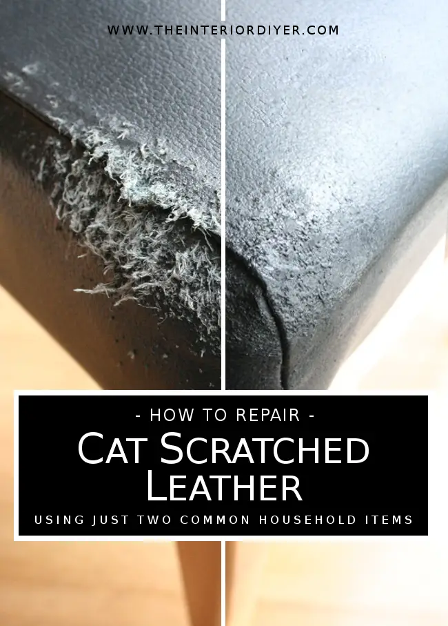 How to Fix Cat Scratches on Leather Couch