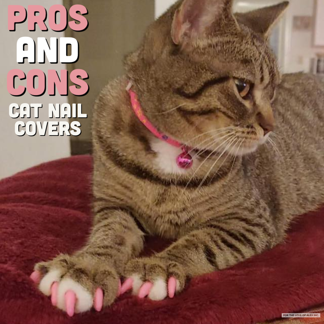 Pros And Cons of Cat Nail Caps