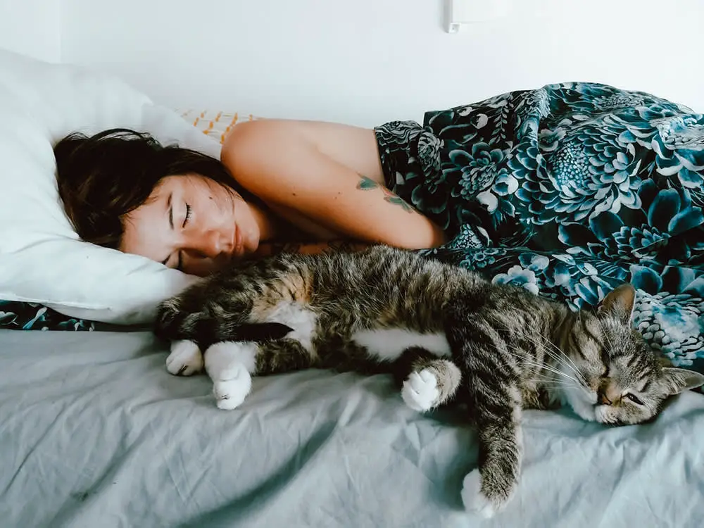 Pros And Cons of Sleeping With Your Cat