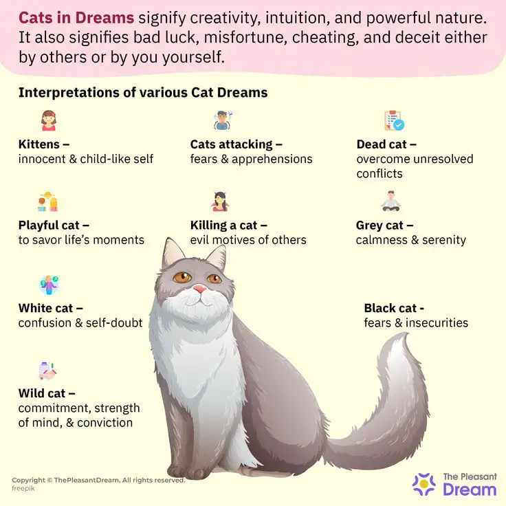 What is the Meaning of Cat in Dream