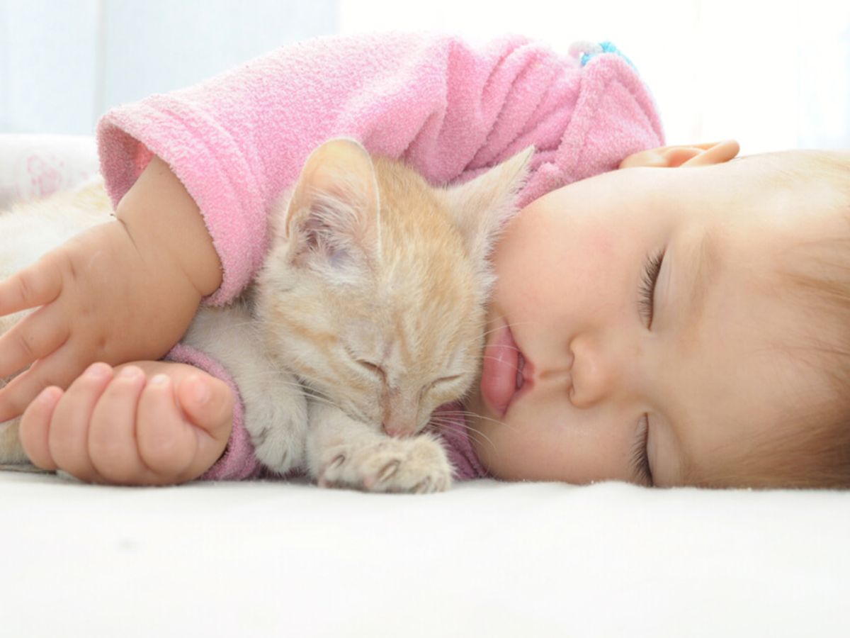 When Do Cat Allergies Develop in Babies