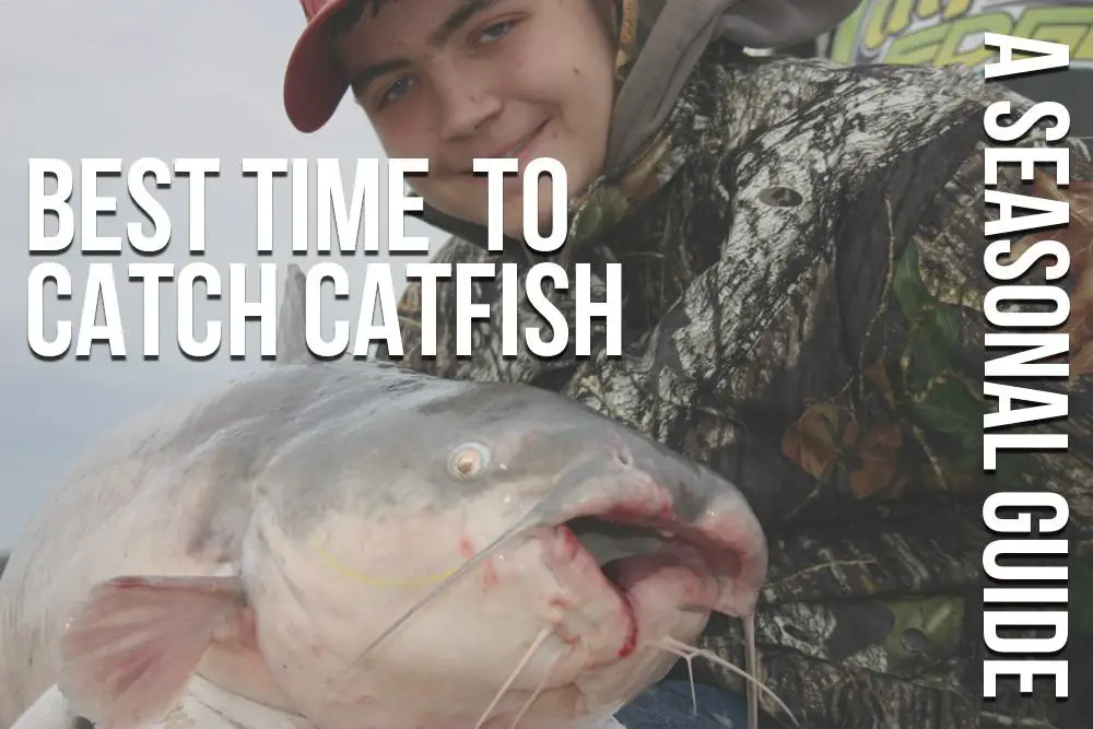 When is the Best Time to Go Cat Fishing