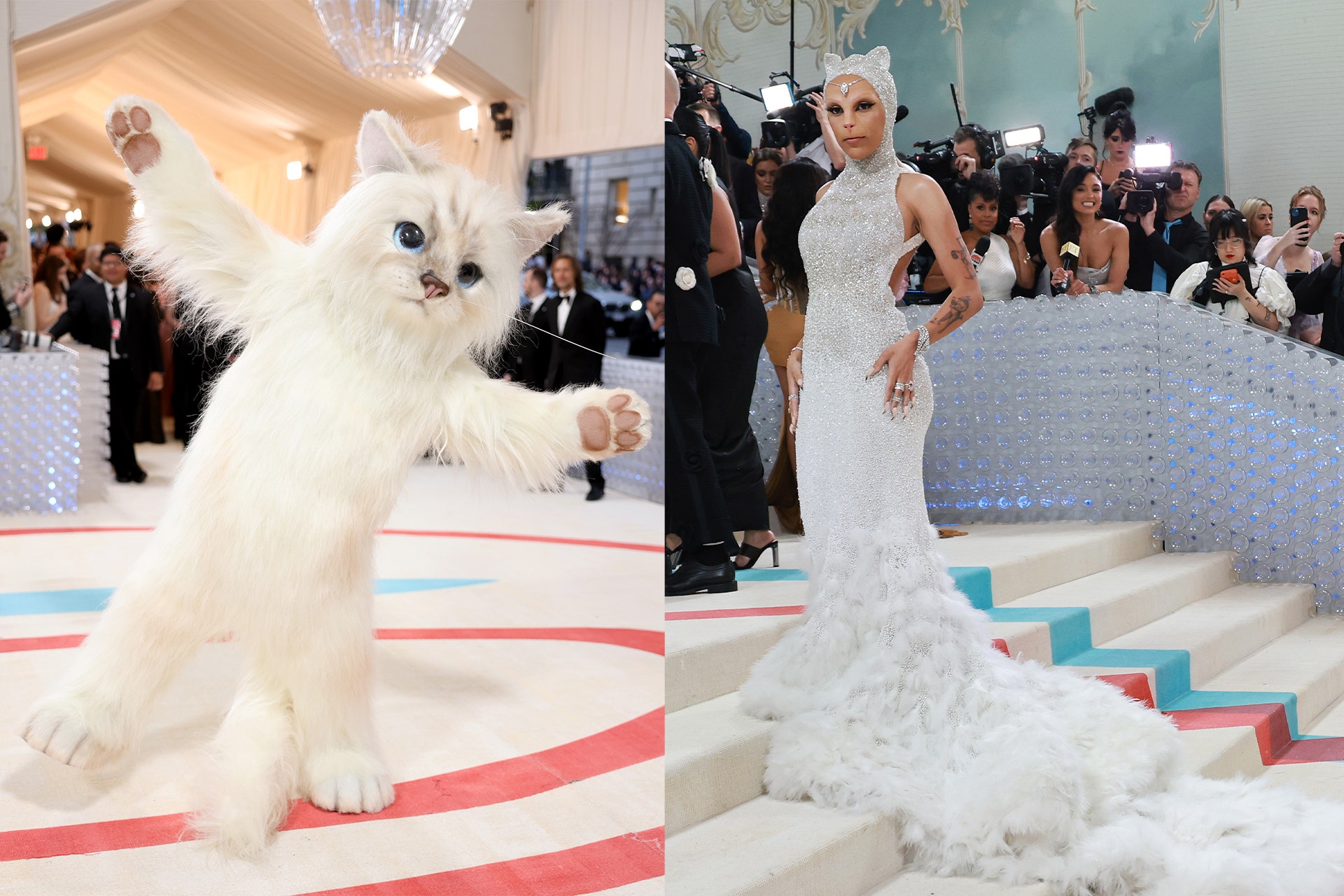 Why is Everyone a Cat at the Met Gala